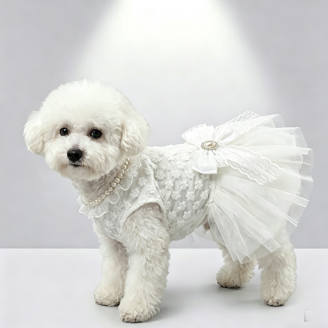 Luxury Pet Lace Wedding Dress