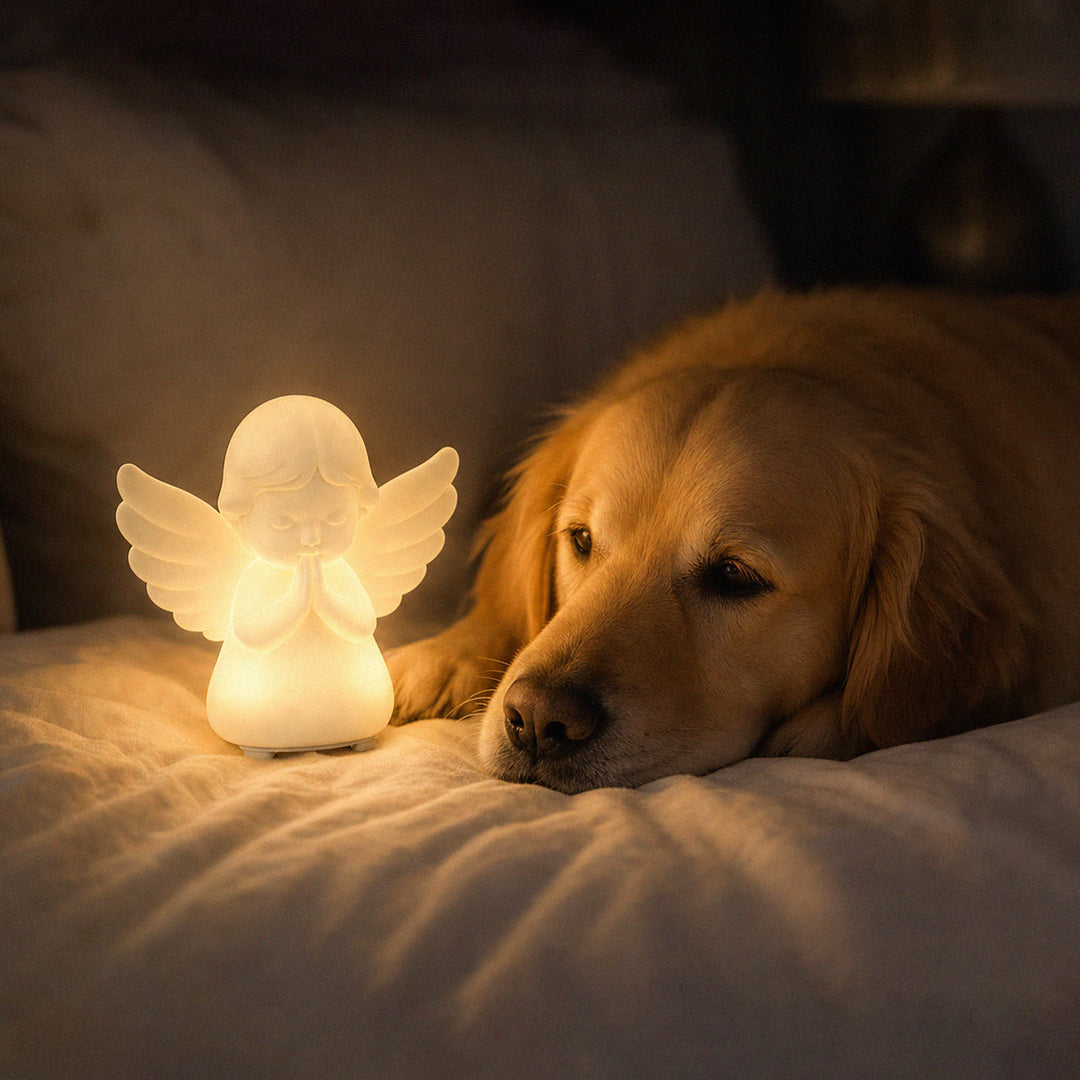 Companion Angel Night Light