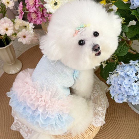 Pet Tulle Skirt