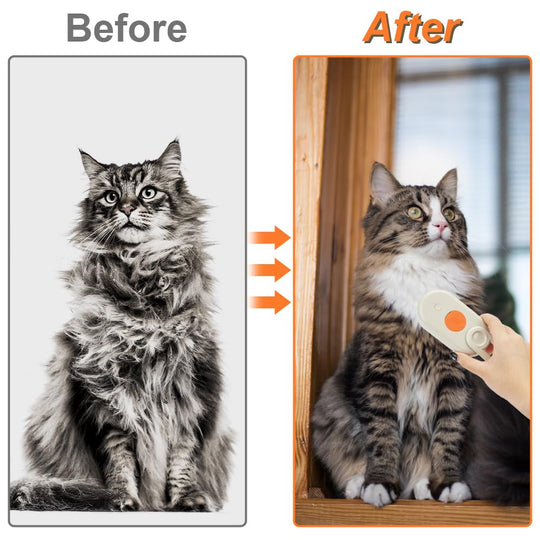 Pet Steam Brush