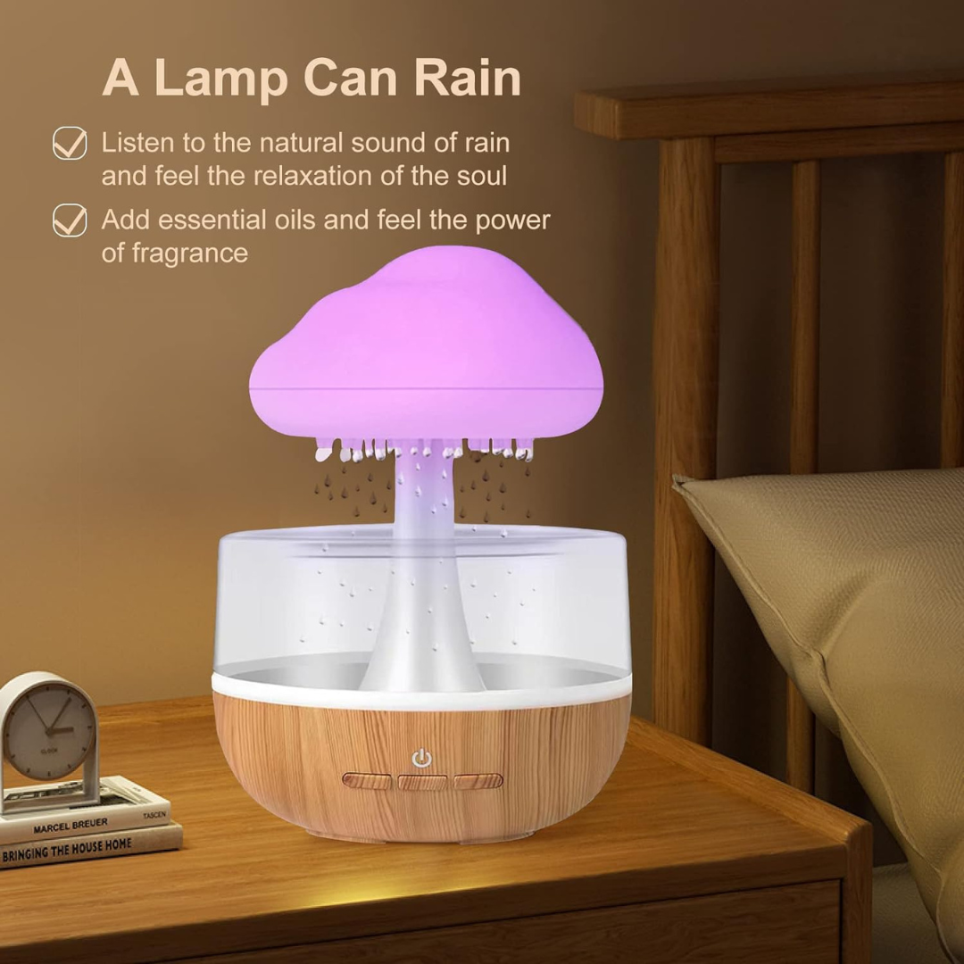 ASMR Rain Cloud Humidifier