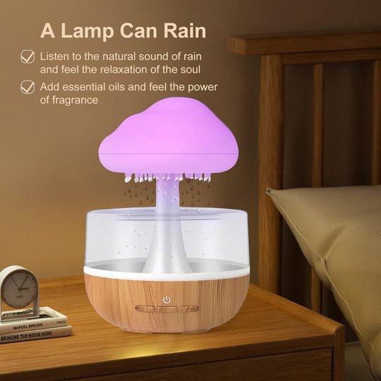 ASMR Rain Cloud Humidifier