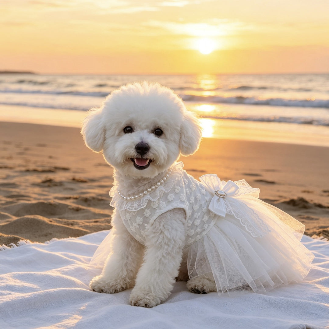 Luxury Pet Lace Wedding Dress