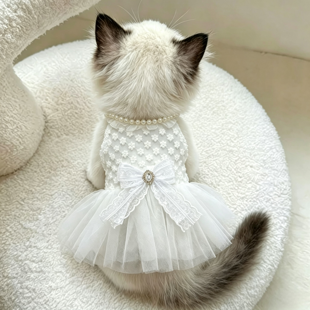 Luxury Pet Lace Wedding Dress