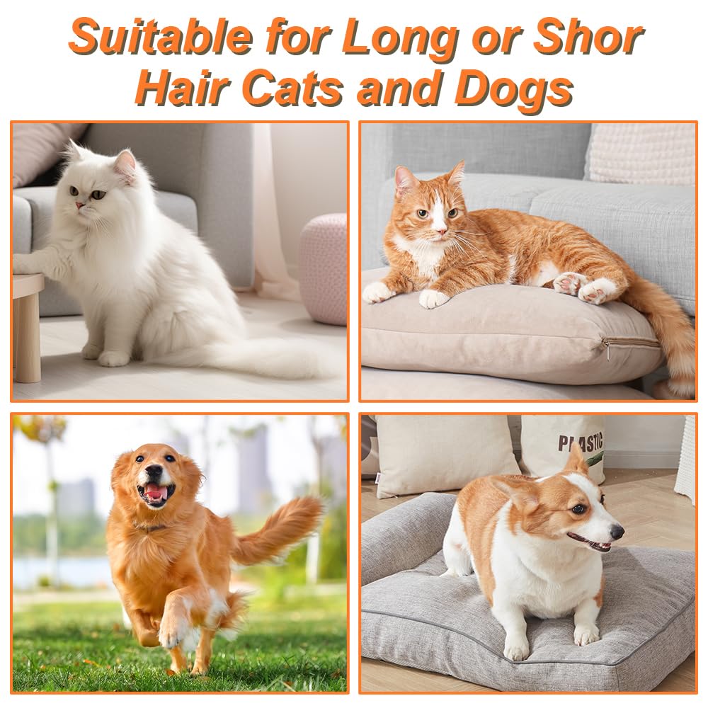 Pet Steam Brush